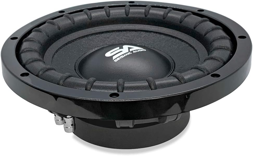 10 Inch Dual 4 Ohm Car Audio Subwoofer R929