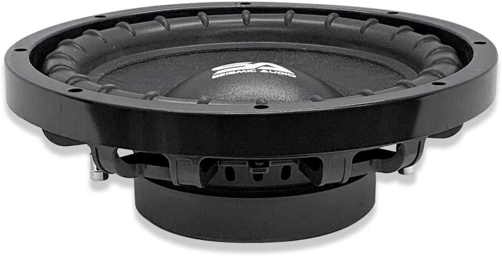 10 Inch Dual 4 Ohm Car Audio Subwoofer R929