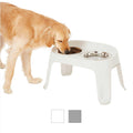 Elevated Dog Diner G4201