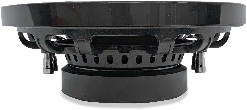 10 Inch Dual 4 Ohm Car Audio Subwoofer R929