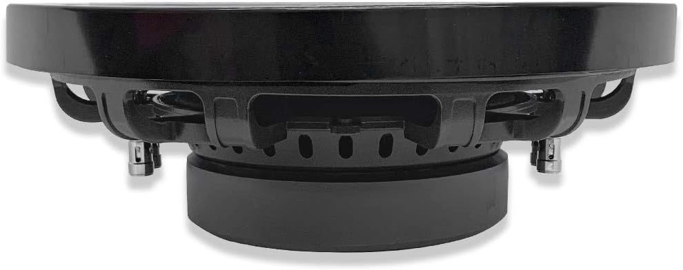 10 Inch Dual 4 Ohm Car Audio Subwoofer R929