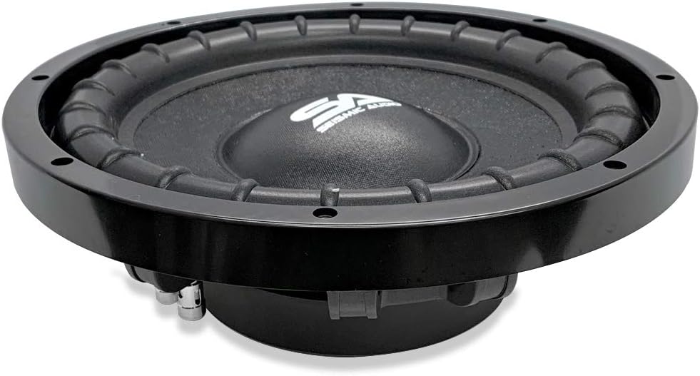 10 Inch Dual 4 Ohm Car Audio Subwoofer R929